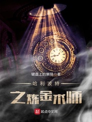 哈利波特之炼金术师 起点