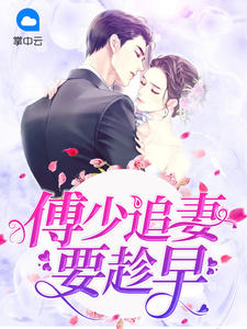 傅少的追妻火葬场