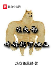 从火影开始万磁王 小说