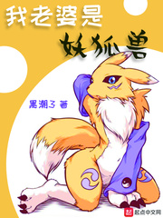 我的老婆是妖女 小说