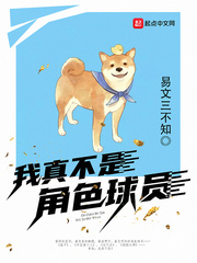 我真不是角色球员小说全集免费阅读