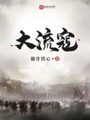 大流寇全本TXT下载