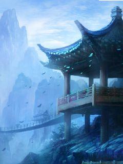 道之丹是什么药