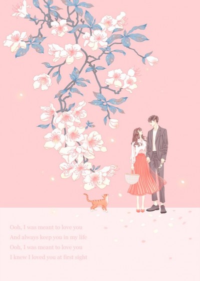 赵今安陆执小说免费阅读