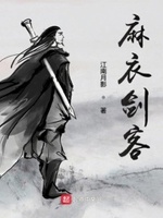 麻衣赘婿百度百科