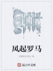 风起2001小说免费